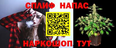 прущие грибы Ангарск