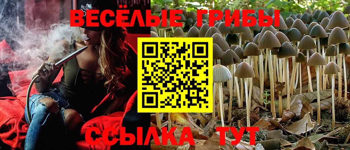 Галлюциногенные грибы ЛСД Алатырь